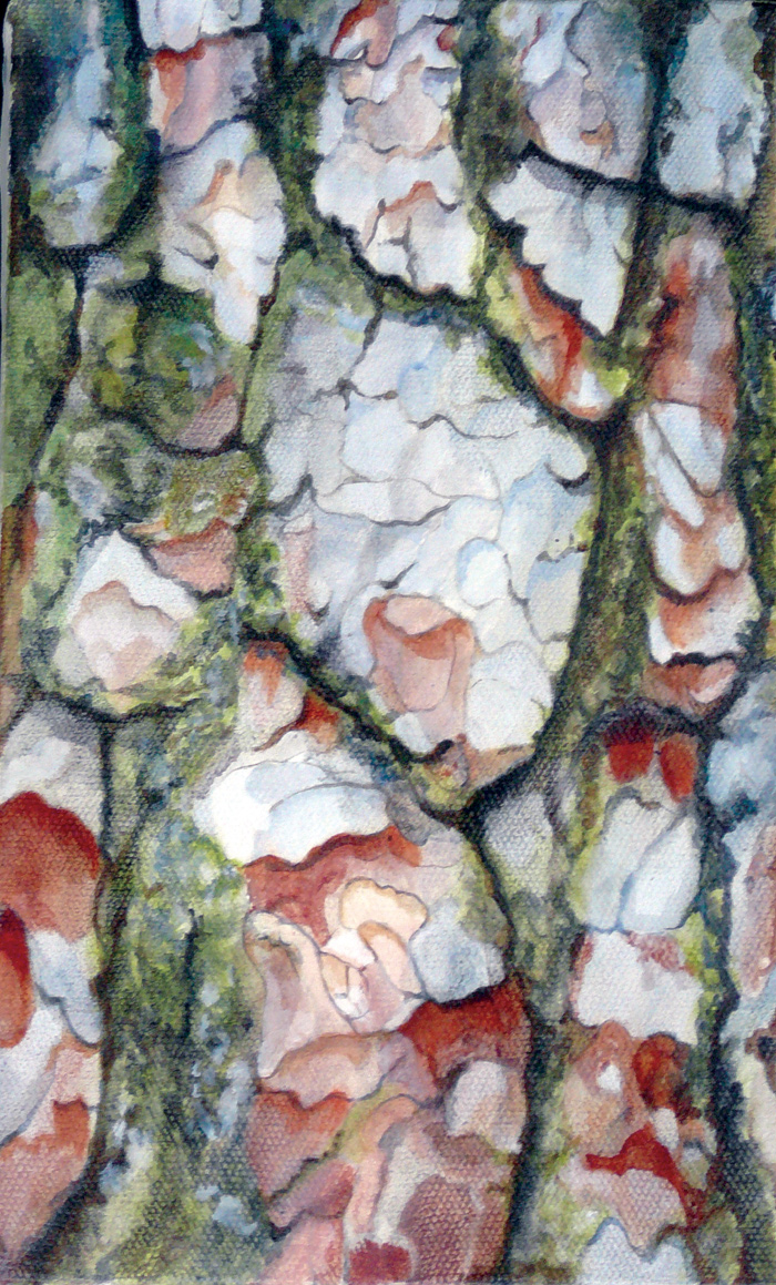 Ecorce de pin : huile sur toile. Dim. 16 x 27 cm