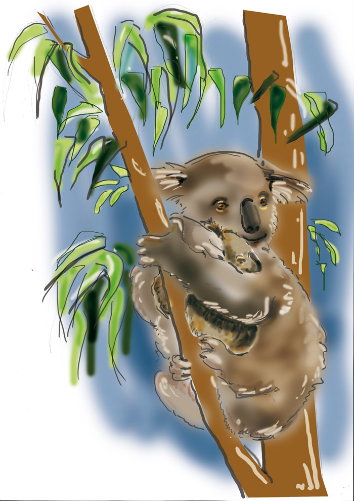 Quant au kangourou de la salle de pré-travail, il partage la vedette avec une maman koala et son petit. Ici la maquette. 